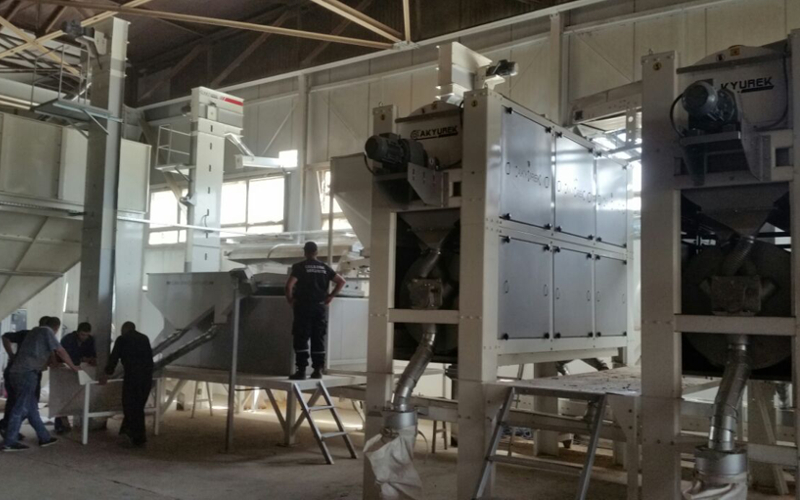 Turnkey Seed Processing Plant 5 tph output Tizi ouzou, Algeria